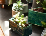 rectangular-planter-green-2